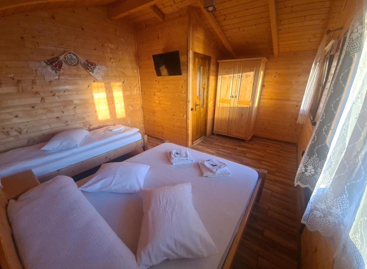 Pensiunea Anisoara Chiscau Exteriér fotografie